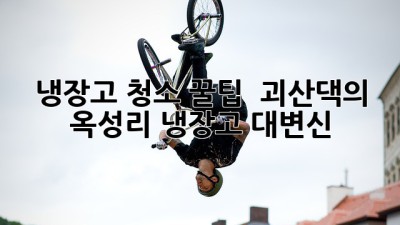 냉장고 청소 꿀팁! ✨ 괴산댁의 ✨ 옥성리 냉장고 대변신! 🧊