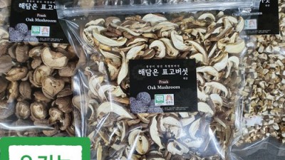 득템 찬스! 향긋한 건표고버섯🍄 초특가 후기!